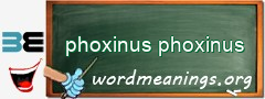 WordMeaning blackboard for phoxinus phoxinus